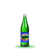Вода мінеральна Драгівська Шаянські мінеральні води газована в скляній пляшці 0.5 л
