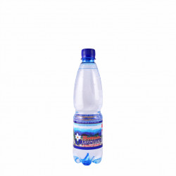 Вода питна Шаянська Джерельна Шаянські мінеральні води газована 0.5 л
